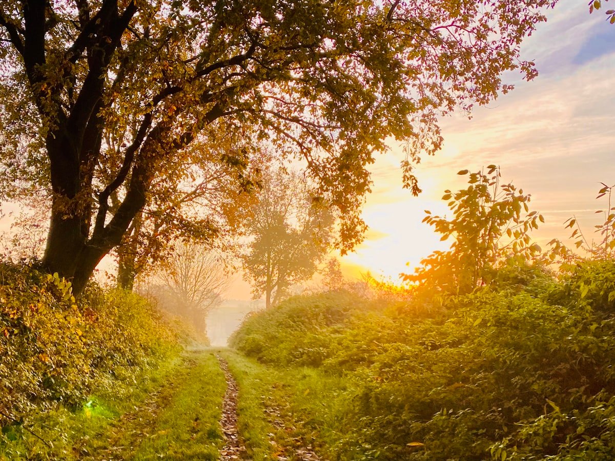 A hopeful sunrise symbolizing new beginnings at Augusta Place